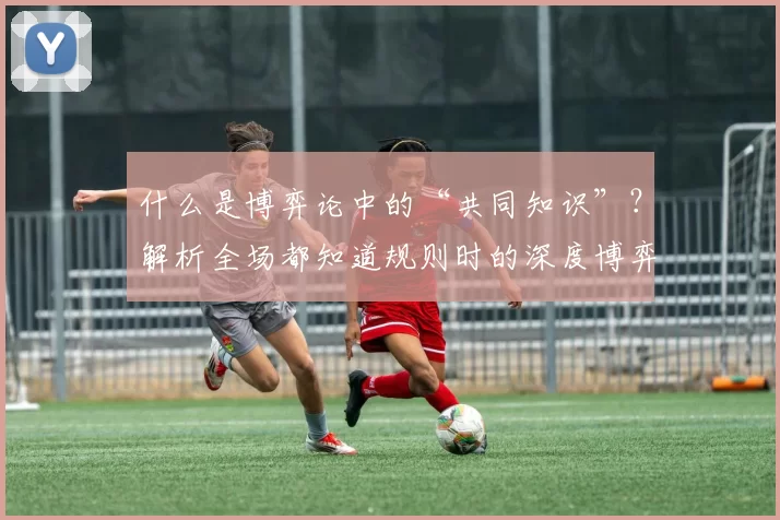 什么是博弈论中的“共同知识”？解析全场都知道规则时的深度博弈。（当规则人人皆知：博弈论中的共同知识与策略深度）