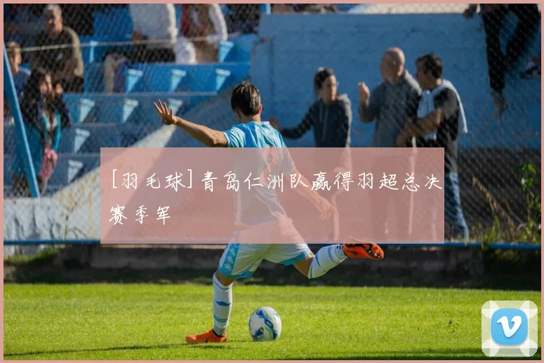 [羽毛球]青岛仁洲队赢得羽超总决赛季军