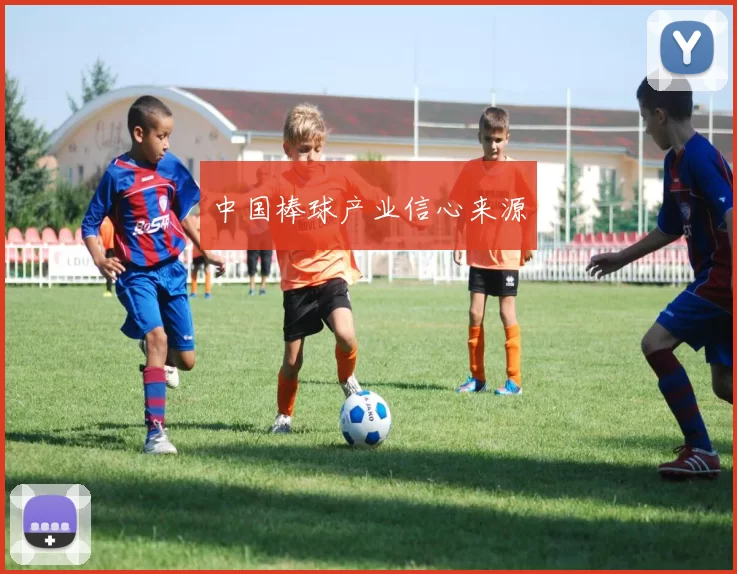 中国棒球产业信心来源