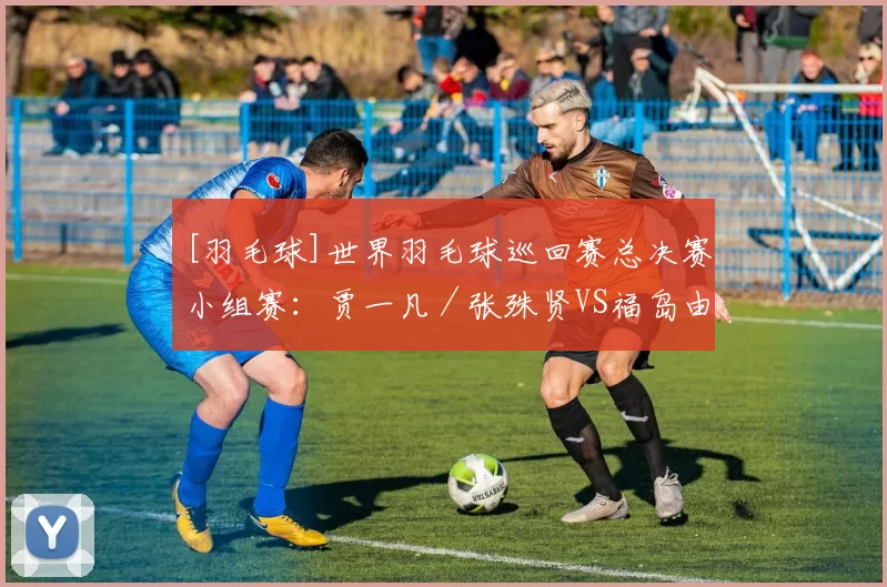 [羽毛球]世界羽毛球巡回赛总决赛小组赛：贾一凡／张殊贤VS福岛由纪／松本麻佑