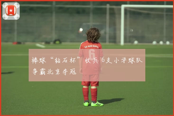 棒球“钻石杯”收兵 6支小学球队争霸北京夺冠