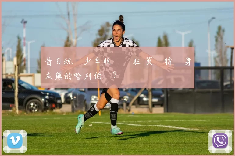 昔日玩槍少年收斂張狂 莫蘭特變身灰熊的哈利伯頓？