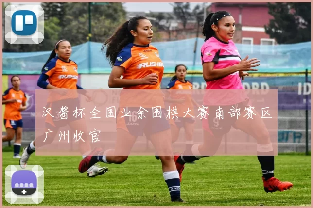汉酱杯全国业余围棋大赛南部赛区广州收官