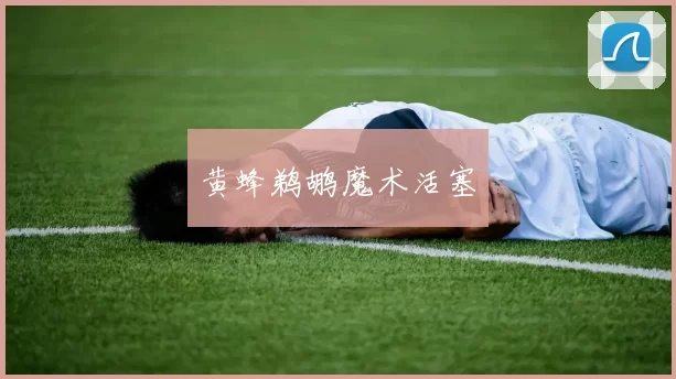 黄蜂鹈鹕魔术活塞