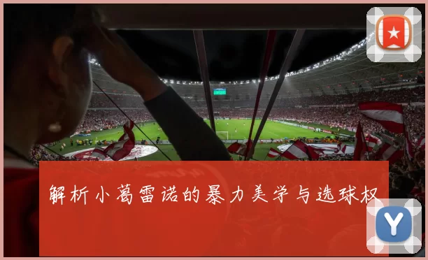 解析小葛雷诺的暴力美学与选球权