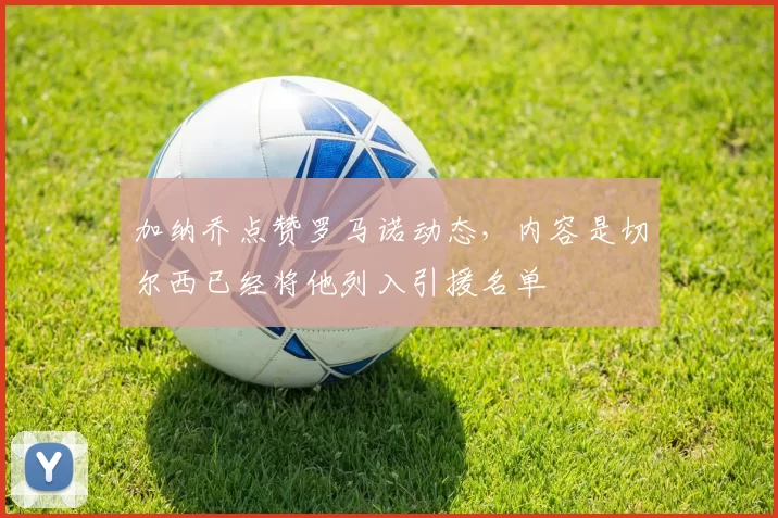 加纳乔点赞罗马诺动态，内容是切尔西已经将他列入引援名单