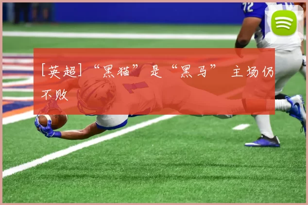 [英超]“黑猫”是“黑马” 主场仍不败