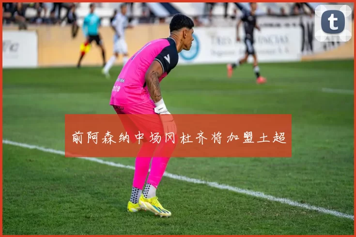 前阿森纳中场冈杜齐将加盟土超